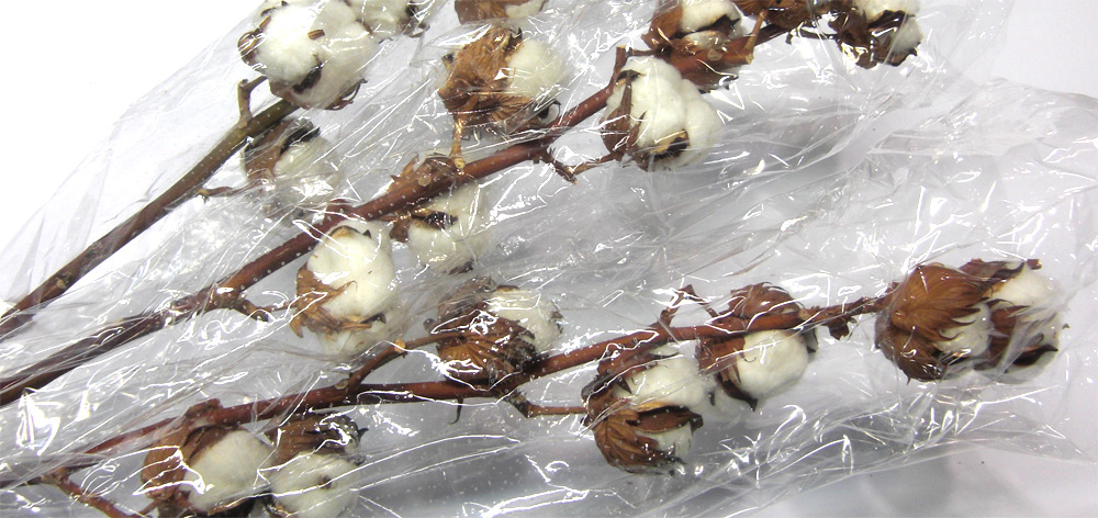 Decorative cotton flowers from Israel