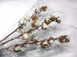 Cotton flowers decoraive bolls bunches packing