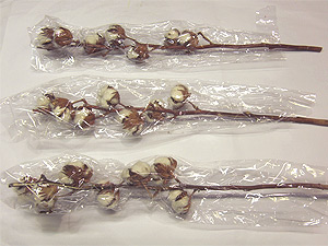 Natural dry cotton flowers packing